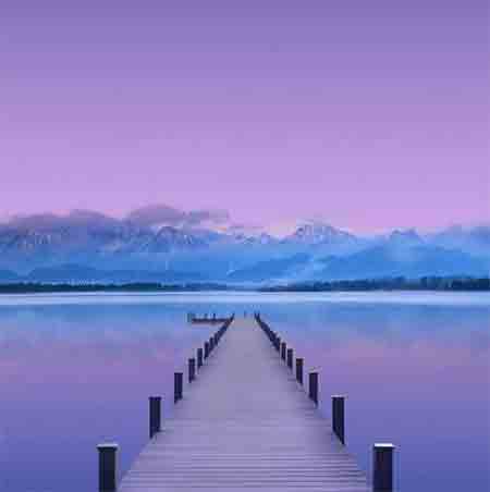 دانلود آهنگ شکارچی وحید فلاح